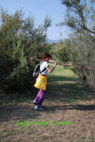 310771_10150290137731664_218795866663_7412438_793896094_n